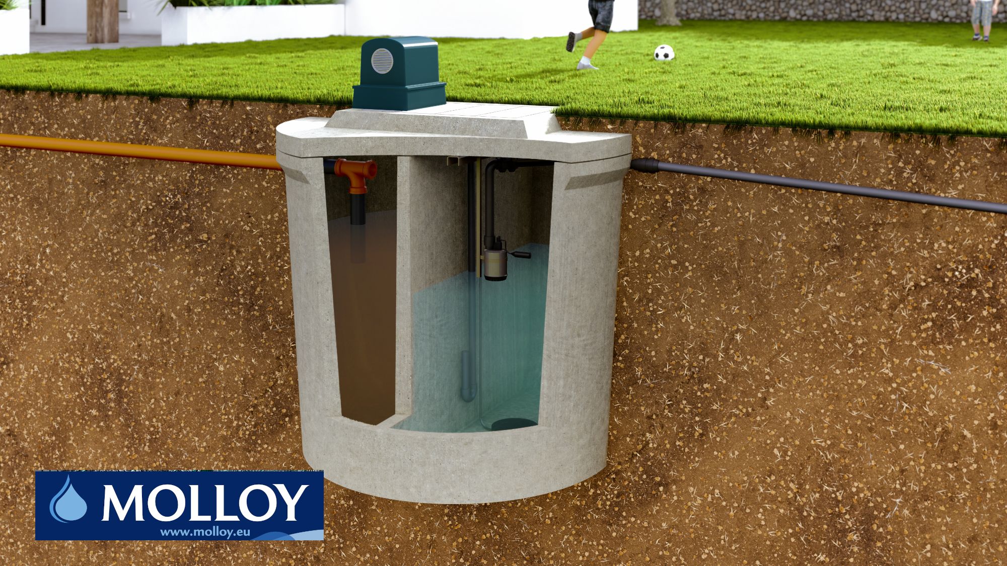Molloy Domestic Septic System